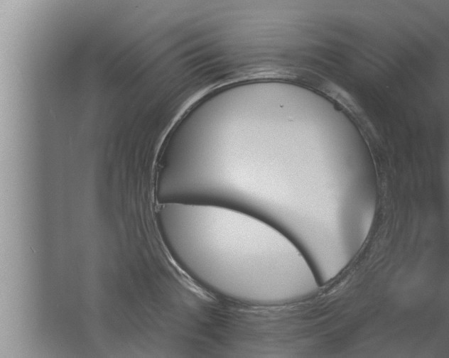 X0000061121236200511241701