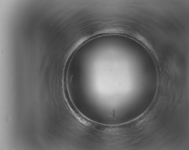 X0000061121237200511241701