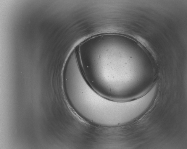 X0000061121238200511241701