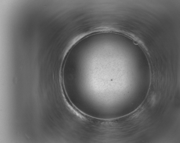 X0000061121239200511241701