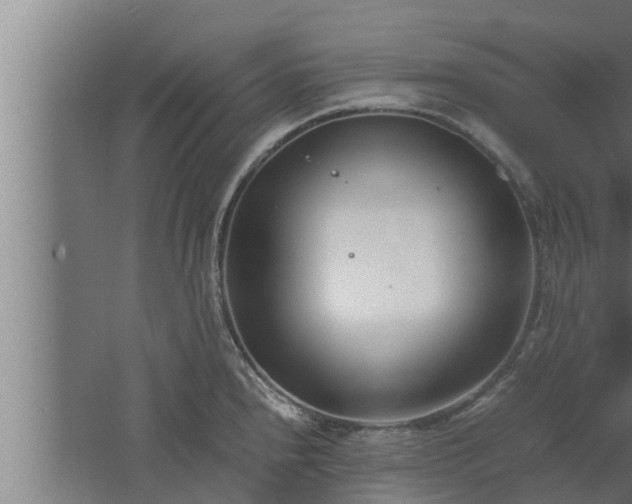 X0000061121240200511241701