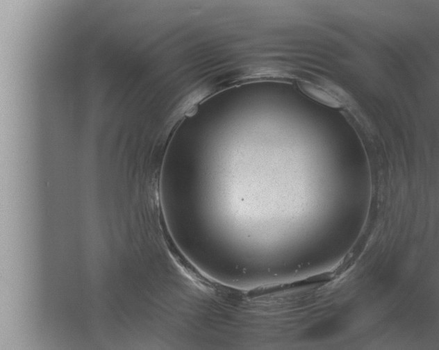 X0000061121241200511241701