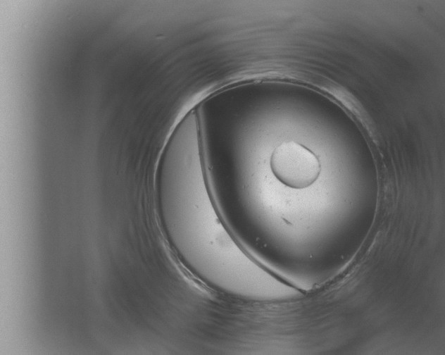 X0000061121242200511241701