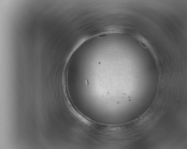 X0000061121243200511241701