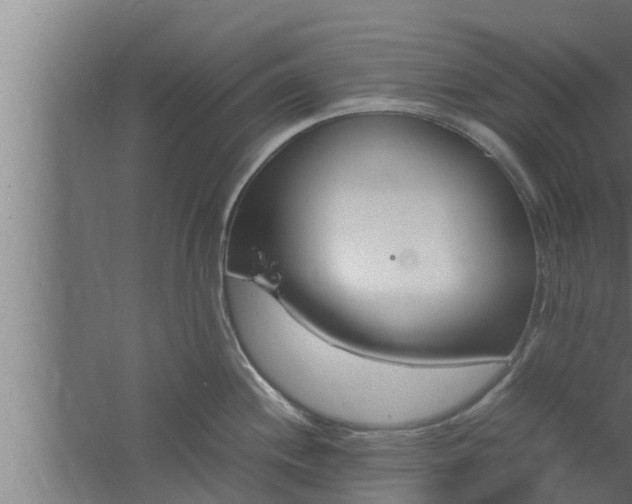 X0000061121244200511241701