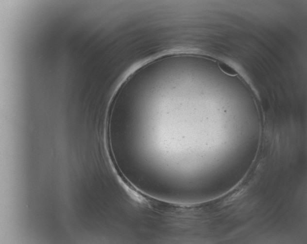 X0000061121245200511241701