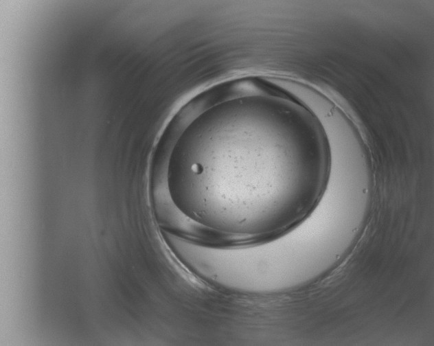 X0000061121246200511241701