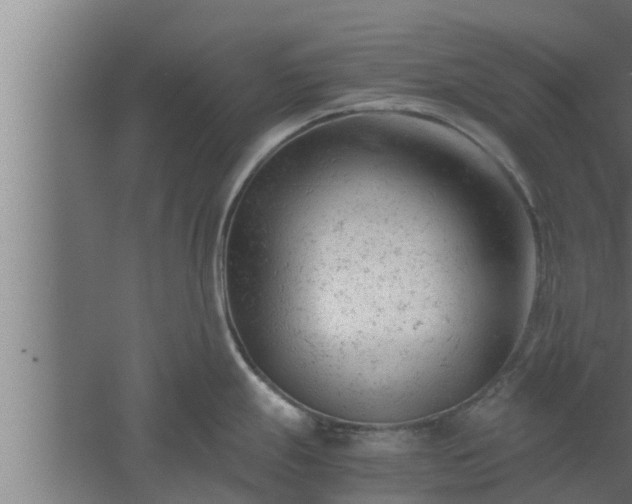 X0000061121247200511241701