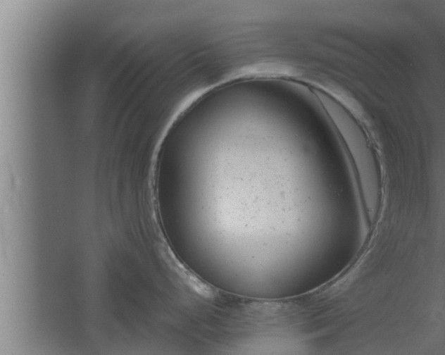 X0000061121248200511241701