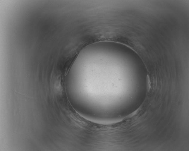 X0000061121250200511241700