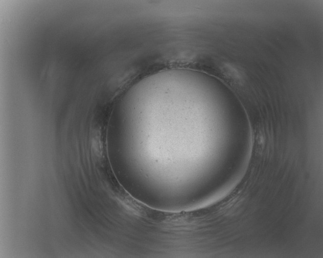 X0000061121252200511241700