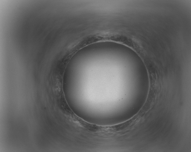 X0000061121253200511241700