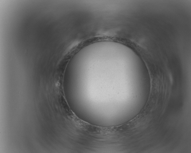 X0000061121254200511241700