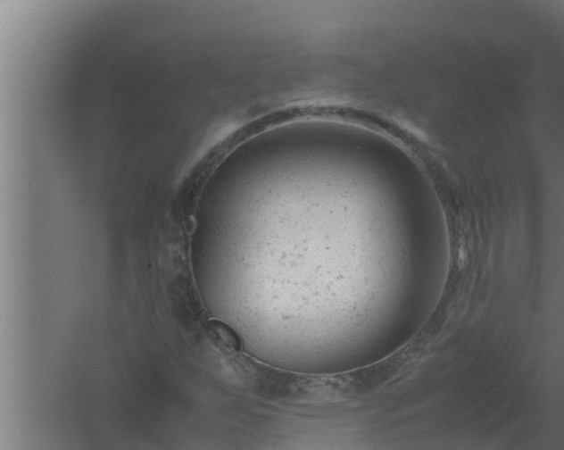 X0000061121255200511241700