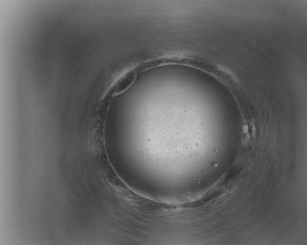 X0000061121256200511241700