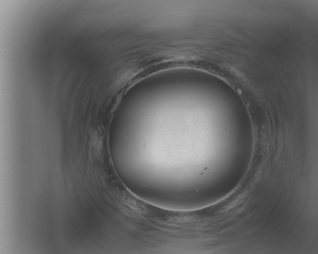 X0000061121257200511241700