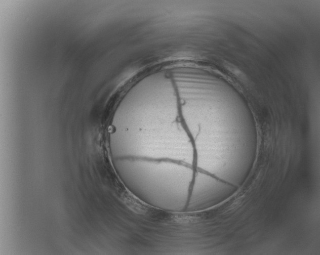 X0000061121258200511241700