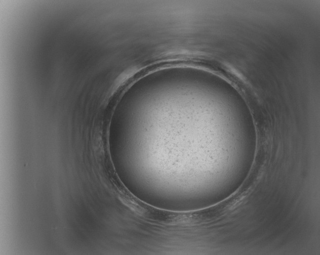 X0000061121259200511241700