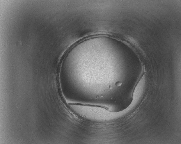 X0000061121260200511241700