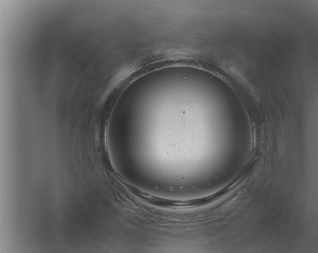 X0000061121261200511241700