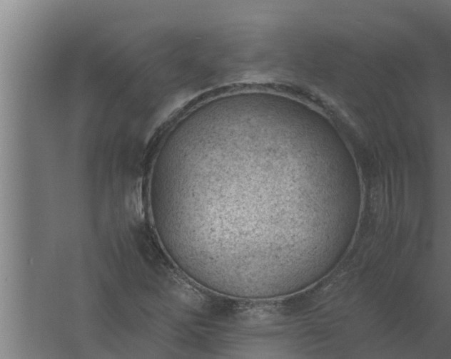 X0000061121262200511241700