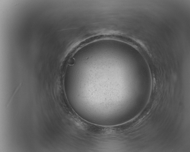 X0000061121263200511241700