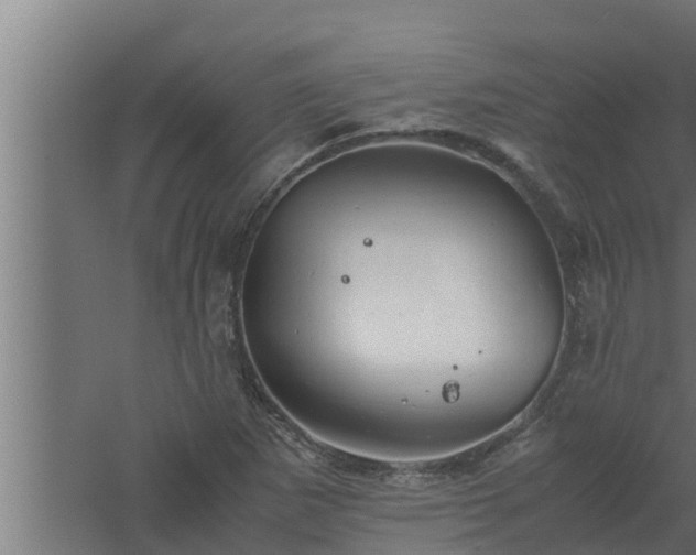 X0000061121265200511241700