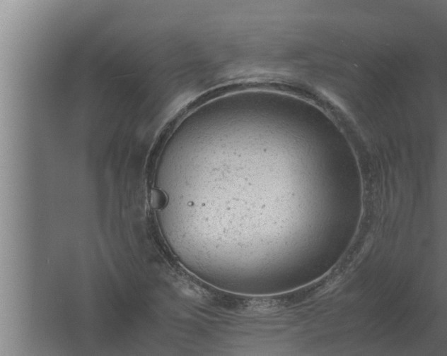 X0000061121267200511241700