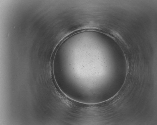 X0000061121268200511241700