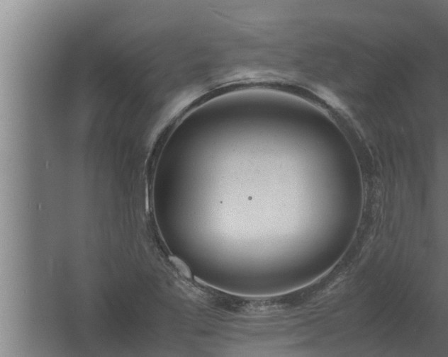 X0000061121269200511241700