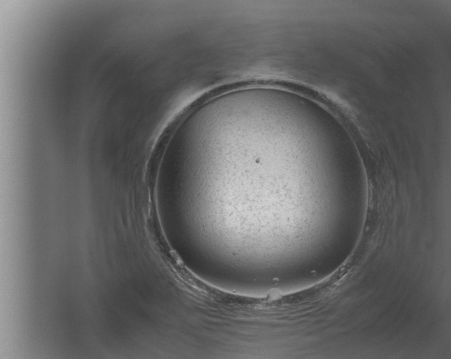 X0000061121271200511241700