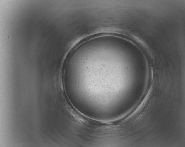 X0000061121272200511241700