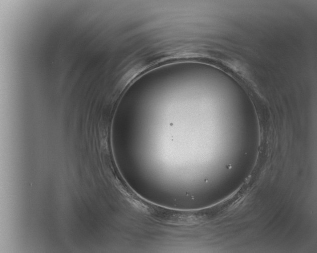 X0000061121273200511241700