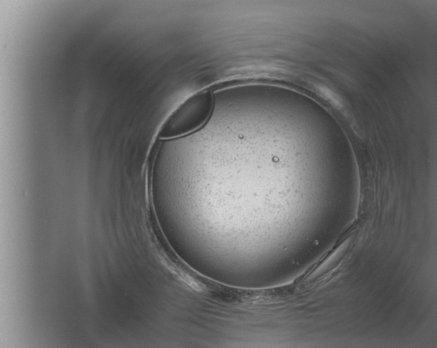 X0000061121275200511241700