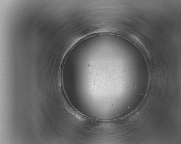 X0000061121276200511241700