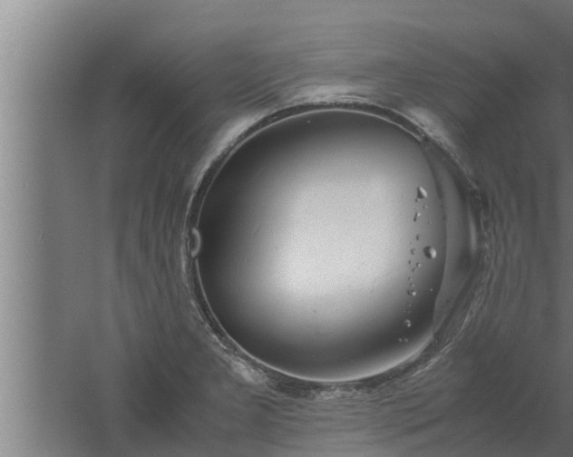 X0000061121277200511241700