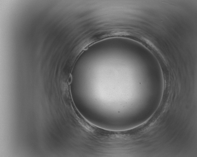 X0000061121281200511241700