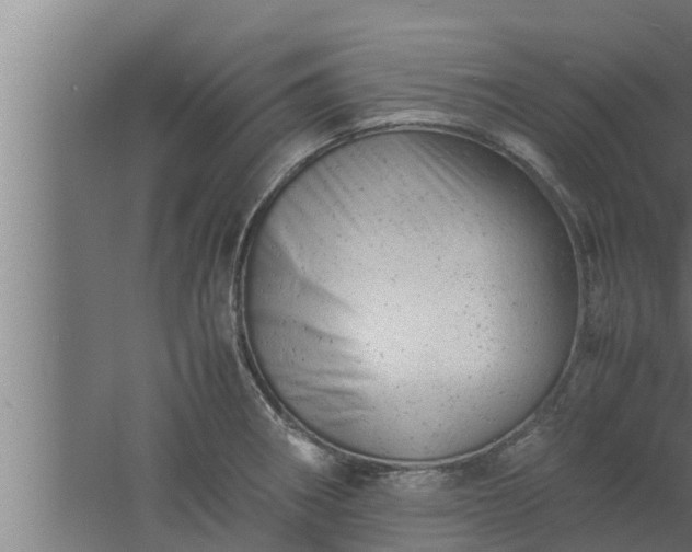 X0000061121282200511241700