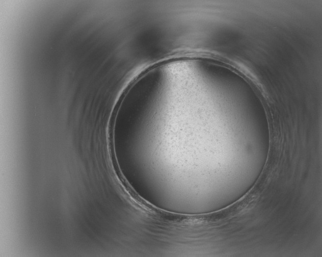 X0000061121283200511241700