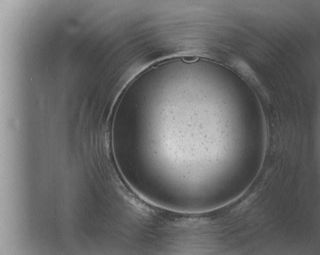 X0000061121284200511241700