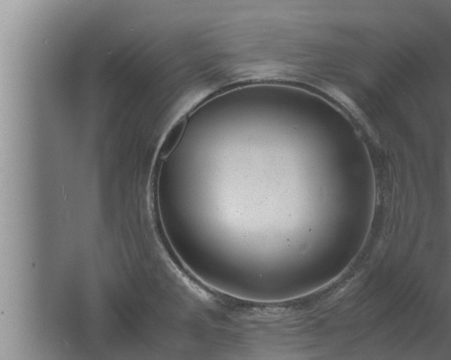 X0000061121285200511241700