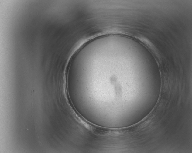 X0000061121286200511241700