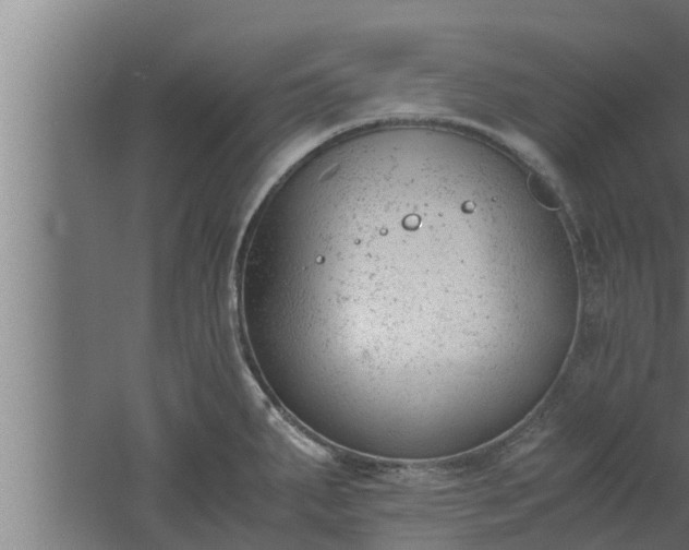 X0000061121287200511241700