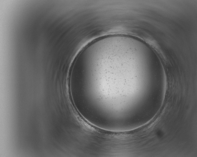 X0000061121288200511241700