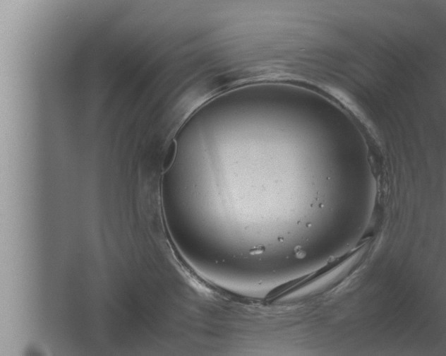 X0000061121289200511241700