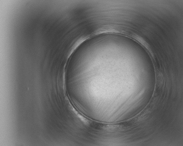 X0000061121290200511241700