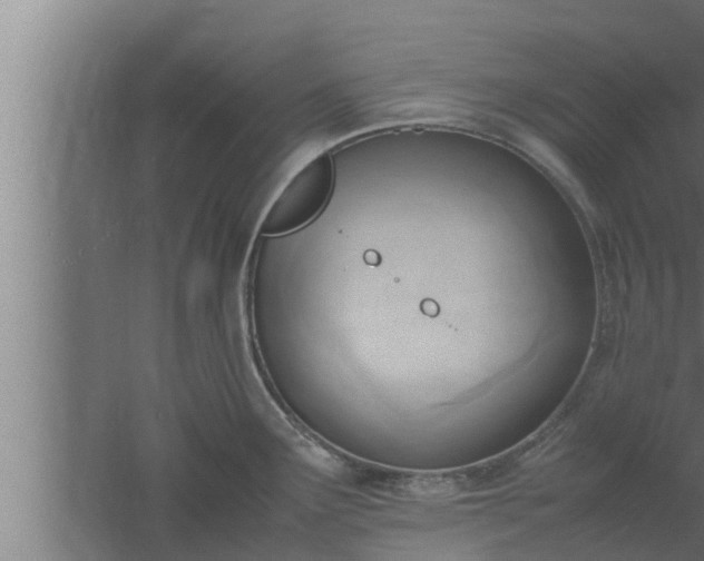 X0000061121291200511241700