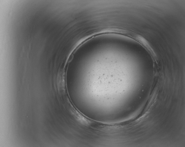 X0000061121292200511241700