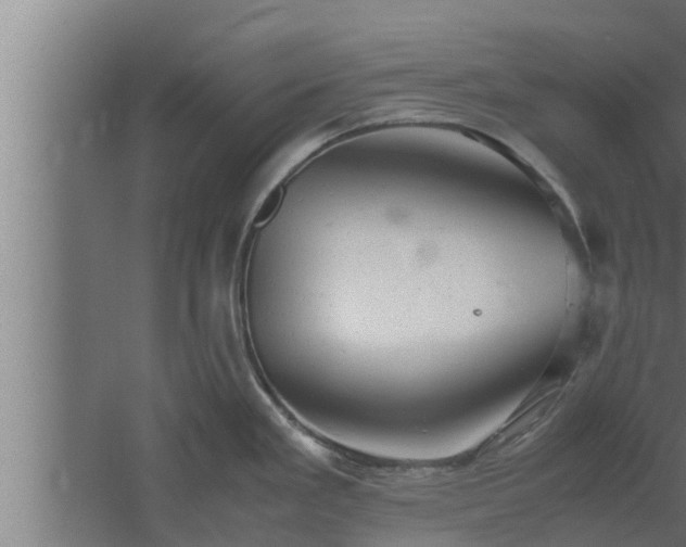 X0000061121293200511241700