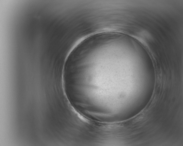 X0000061121294200511241700